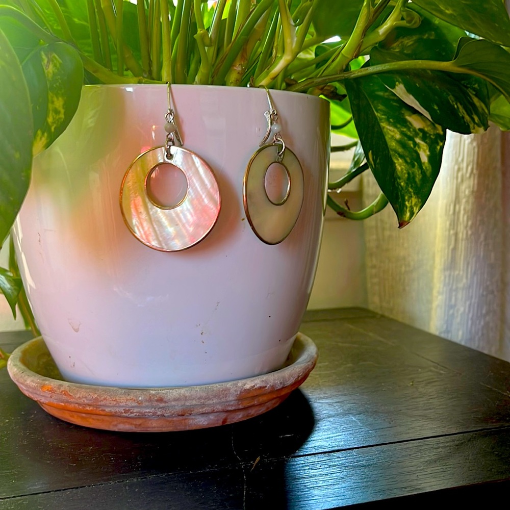 Vintage abalone shell earrings